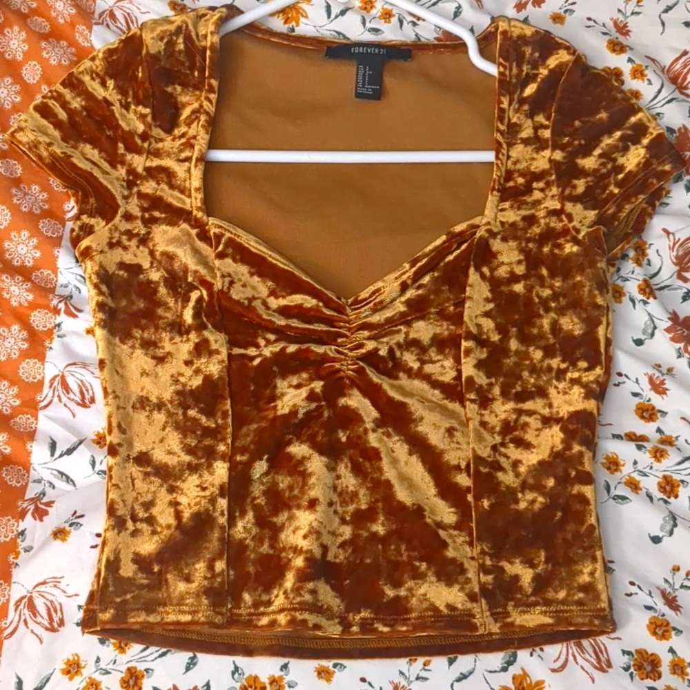 Golden crushed velvet cropped up
